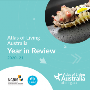 Cover of ALA Year in Review 2020-21. light teal background